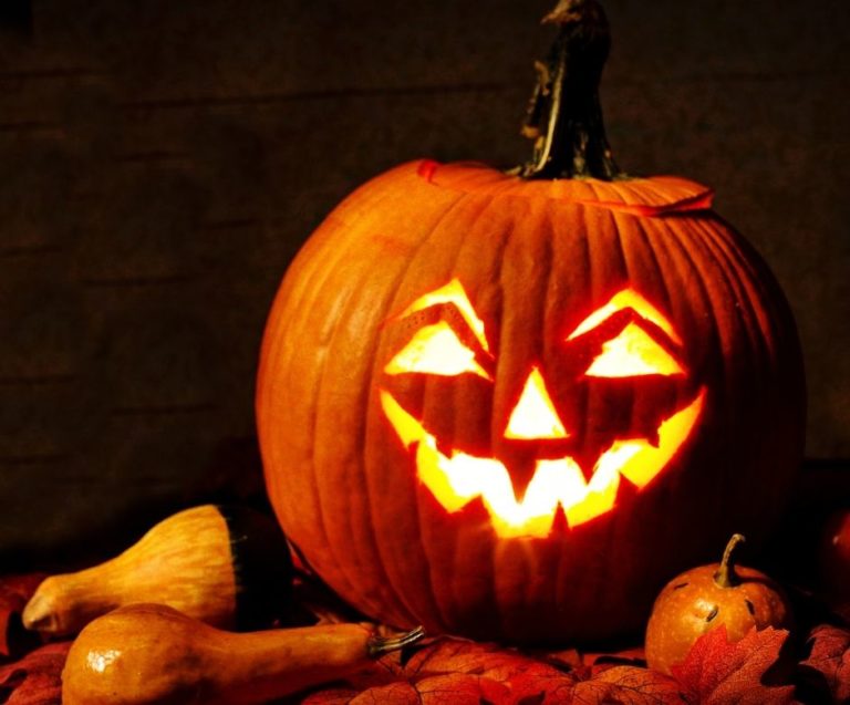 Lire la suite à propos de l’article Envie de frayeurs pour Halloween ? Le château de Meung-sur-Loire vous ouvre ses portes !