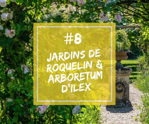 Podcast | Épisode 8 – Stéphane Chassine, propriétaire des Jardins de Roquelin et de l’Arboretum d’Ilex