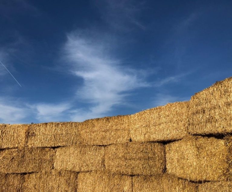 Lire la suite à propos de l’article Beauce l’apparente, une œuvre de land art s’invite à Baccon