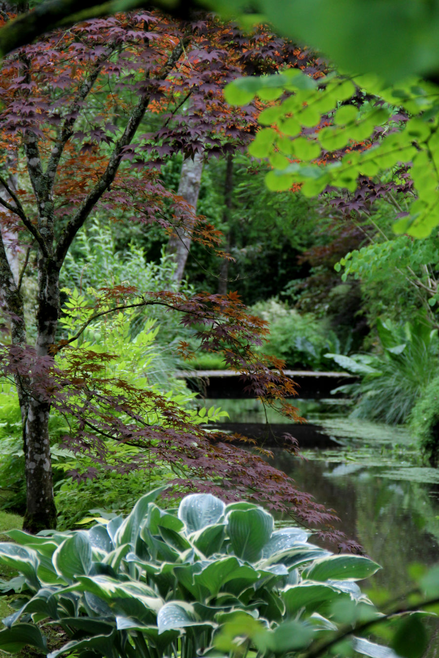 Arboretum d'Ilex