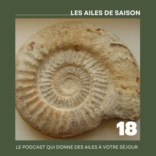 Podcast | Épisode 18 – Charlène Gilbert, attachée de conservation du patrimoine et responsable du musée La Monnaye