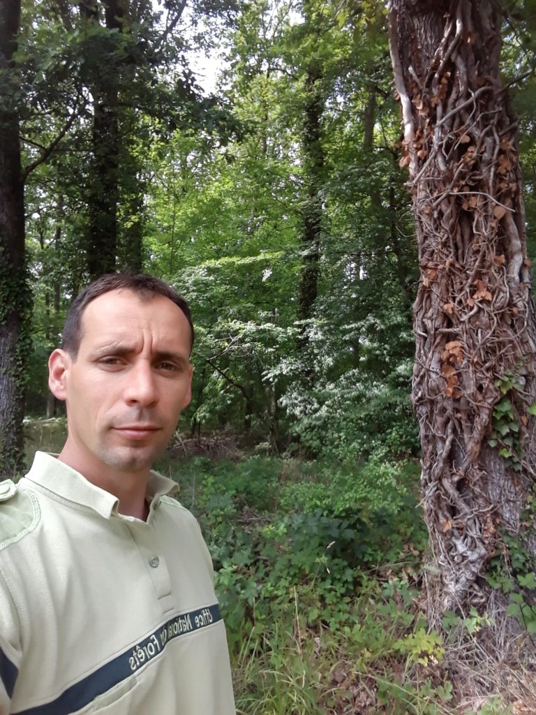 Lire la suite à propos de l’article Portrait – Jérôme Pineau, Technicien forestier territorial au sein de l’Office National des Forêts