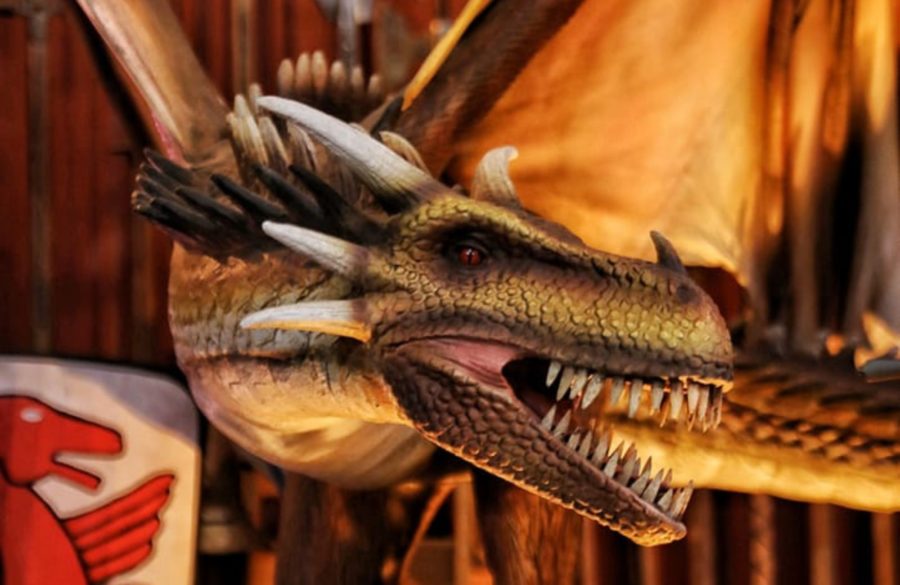 Dragons animés au château de Meung-sur-Loire