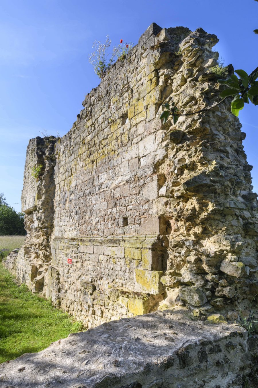 Abbaye du Petit Citeaux