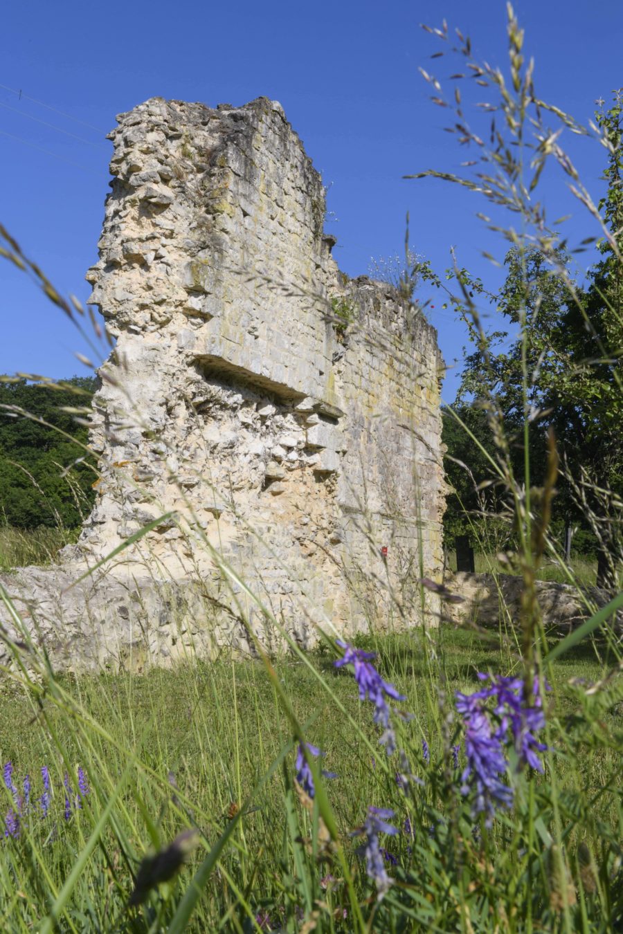 Abbaye du Petit Citeaux