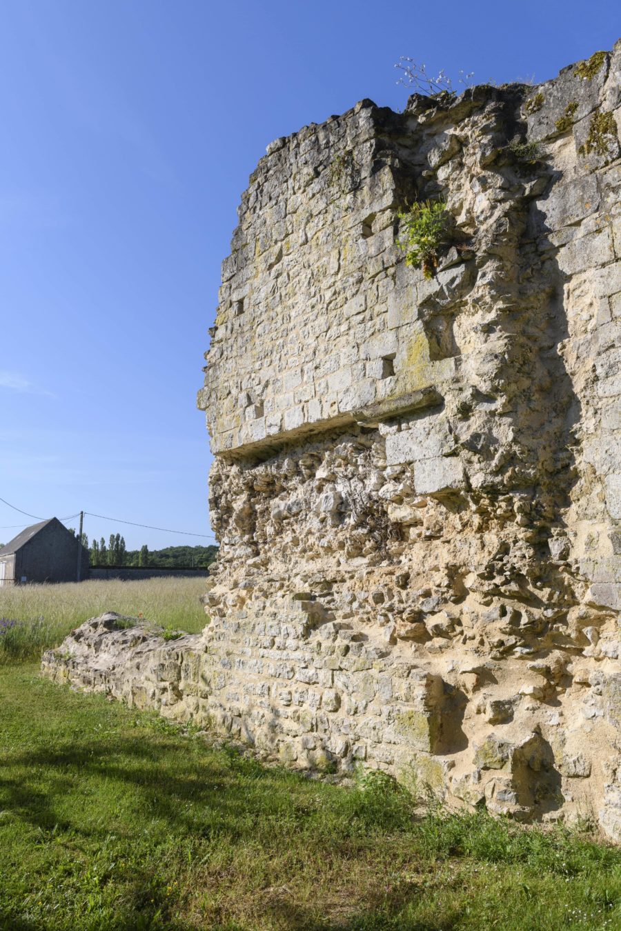 Abbaye du Petit Citeaux