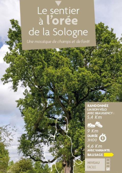 Le sentier à l'orée de la Sologne