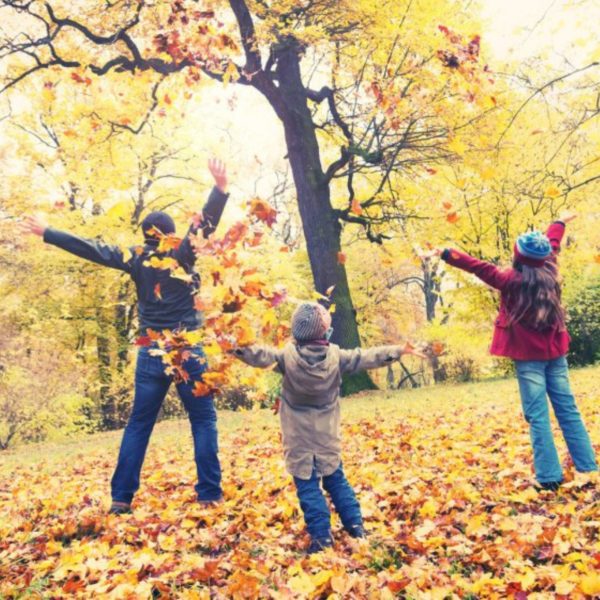 Vacances de la Toussaint : 8 idées de sorties et activités en famille