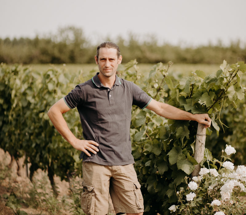 Vignoble du Chant d'Oiseaux