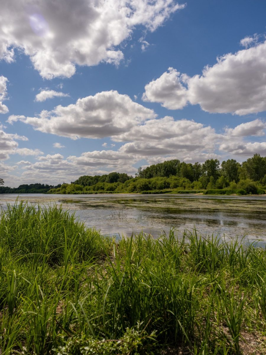 Le circuit Loire et forêt à Dry