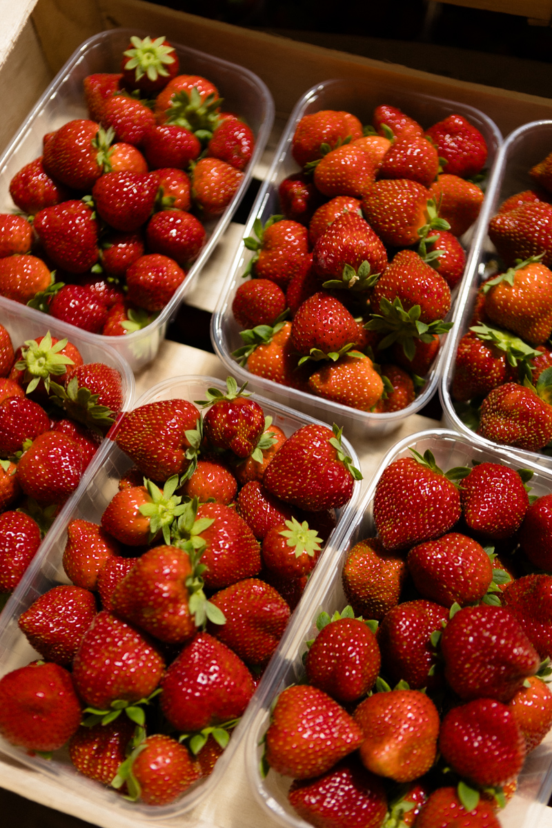 Le Fruité de Binas