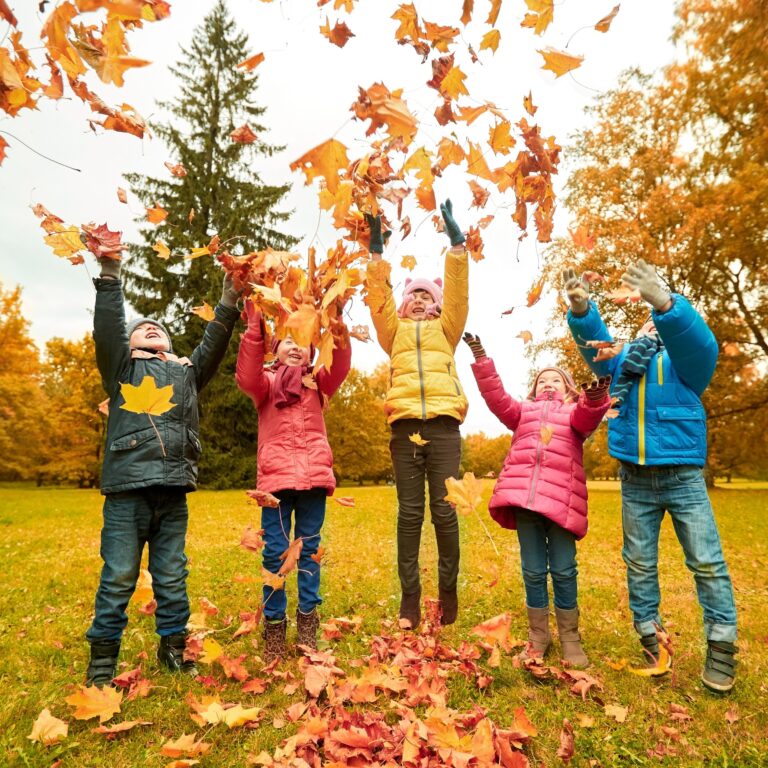 Lire la suite à propos de l’article Vacances de la Toussaint : nos idées d&rsquo;activités en famille sur les Terres du Val de Loire