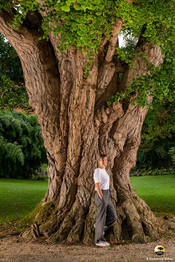 Arbre de l'année 2026 à Meung-sur-Loire