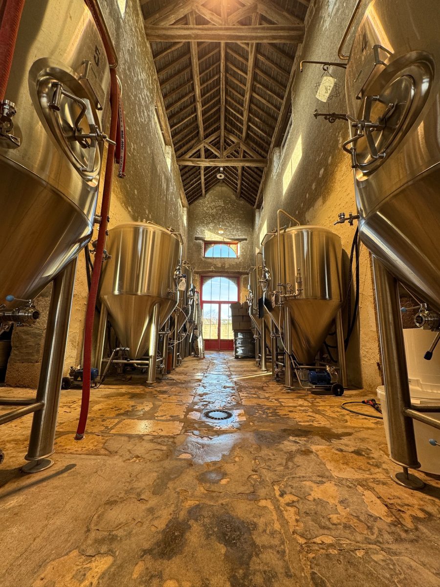 Brasserie Les félins à Beaugency