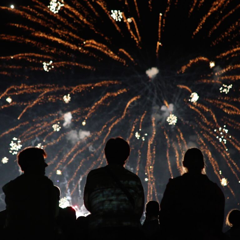 Lire la suite à propos de l’article Fête nationale : où voir les feux d&rsquo;artifice sur les Terres du Val de Loire ?